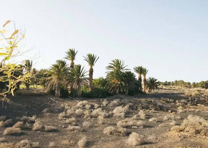 Alava 코스타 테기세