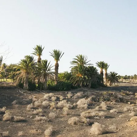 Alava Costa Teguise